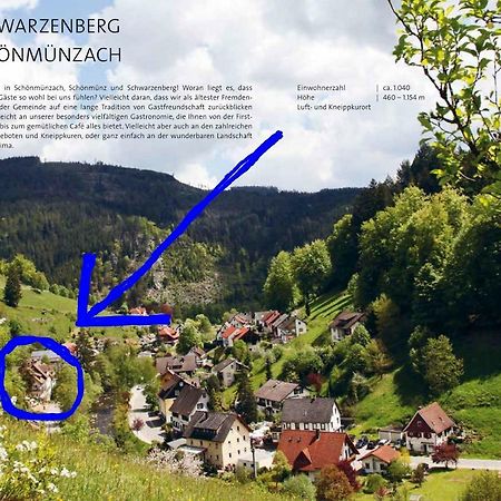 Adieu Alltag: Pension Oesterle Im Schwarzwald Schonmunzach Eksteriør billede