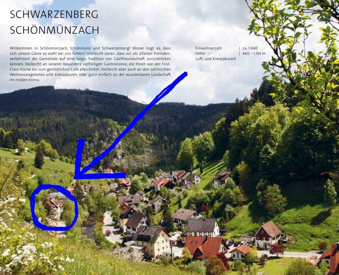 Adieu Alltag: Pension Oesterle Im Schwarzwald Schonmunzach Eksteriør billede