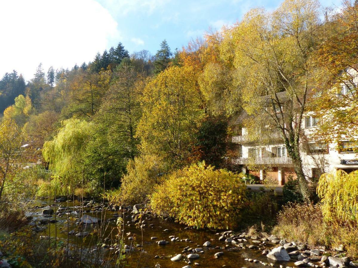 Adieu Alltag: Pension Oesterle Im Schwarzwald Schonmunzach Eksteriør billede